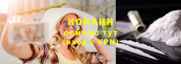 твердый Богородск