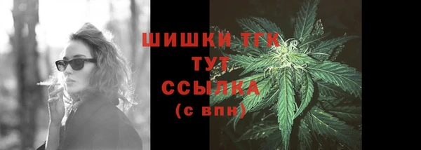 твердый Богородск