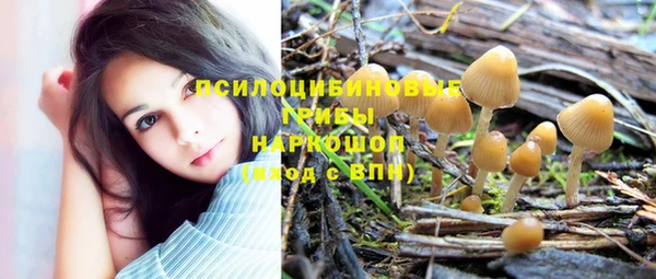 твердый Богородск