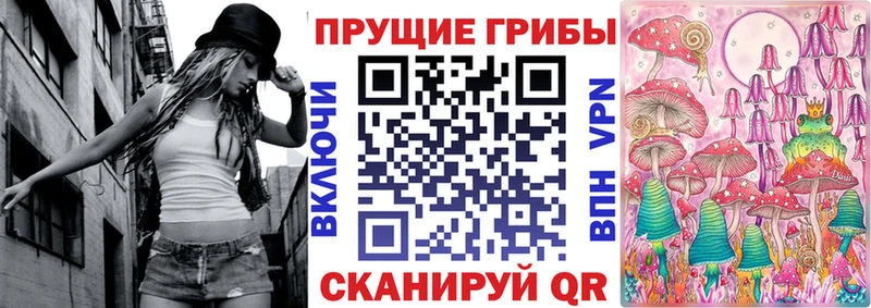 Купить  Магас  Галлюциногенные грибы Psilocybine cubensis 