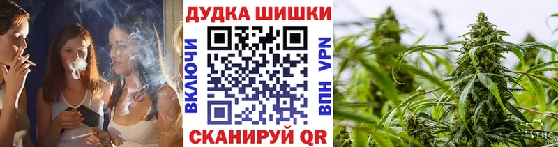 Конопля сатива  Купить где  Магас 